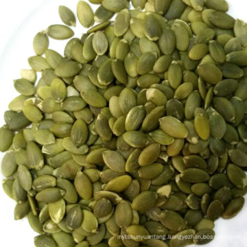 New product healthy new harvest wholesale pumpkin seeds for sale